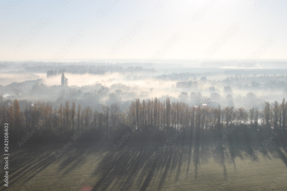 Fototapeta premium Fog