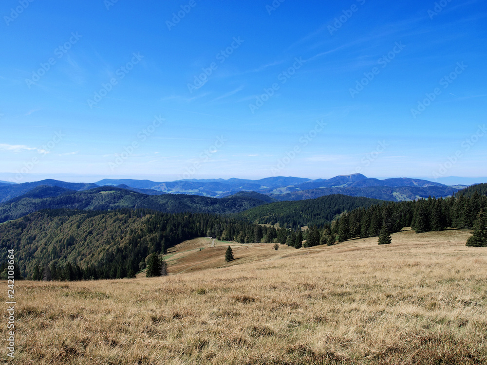 Fototapeta premium Schwarzwald. Blick auf dem Gipfel des Herzogenhorns