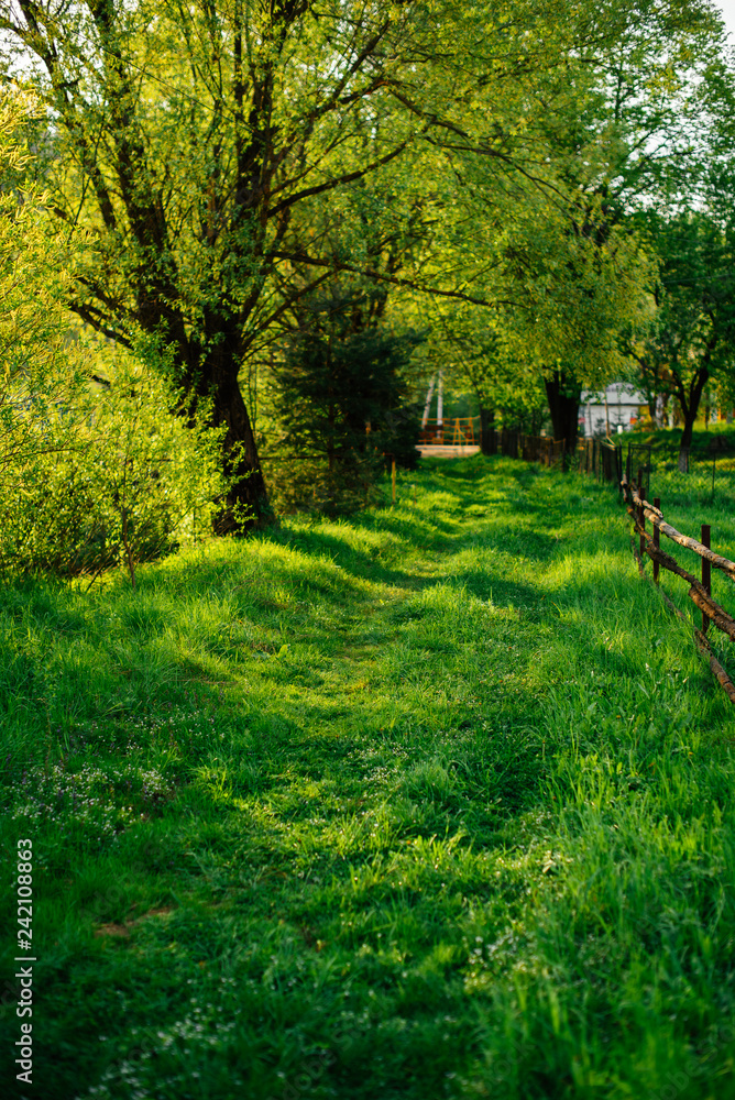 Nature, spring, grass, village. Rural track. It can be used as a background Nature, spring, grass, village. Rural track. It can be used as a background