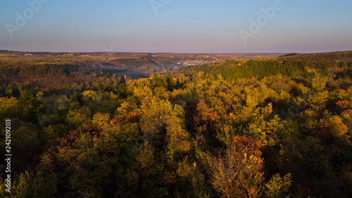 Drone flight above a forest in autumn