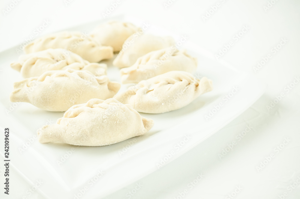 Asian meat dumplings on a white plate. Selective focus