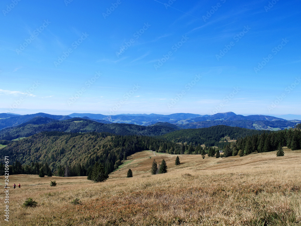 Fototapeta premium Schwarzwald. Blick auf dem Gipfel des Herzogenhorns