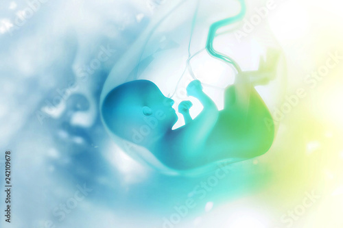 Schilderij op canvas Human fetus on scientific background