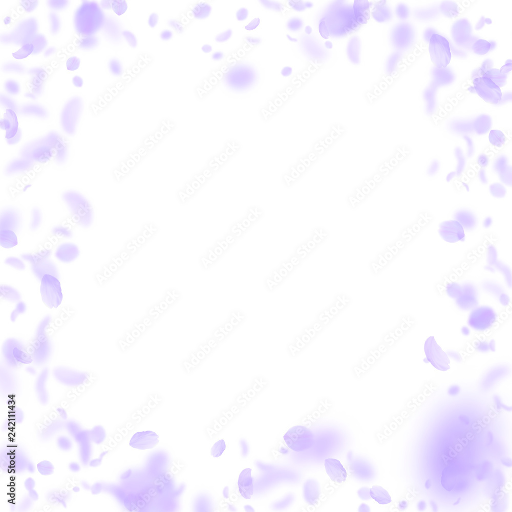 Violet flower petals falling down. Noteworthy roma Violet flower petals falling down. Noteworthy roma