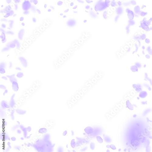 Violet flower petals falling down. Noteworthy roma © Begin Again