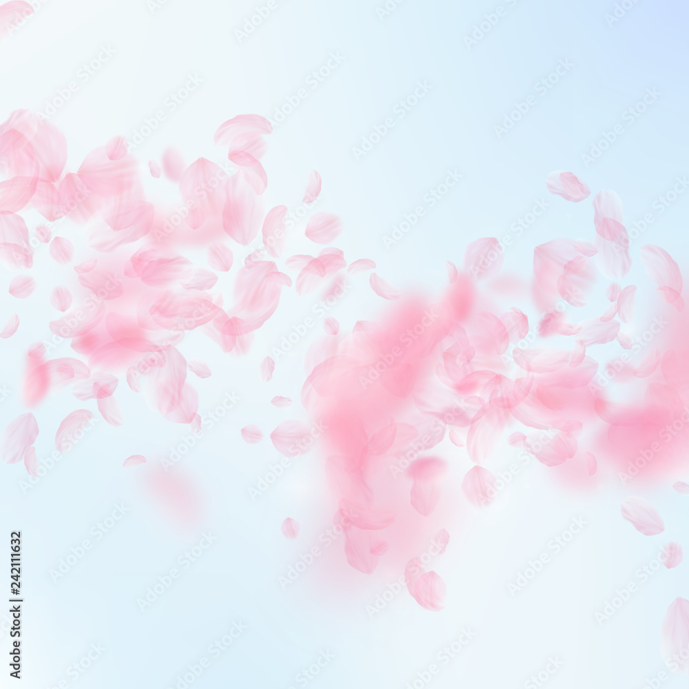 Sakura petals falling down. Romantic pink flowers Sakura petals falling down. Romantic pink flowers