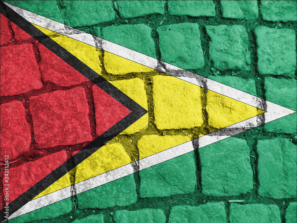 Guyana flag, background, texture