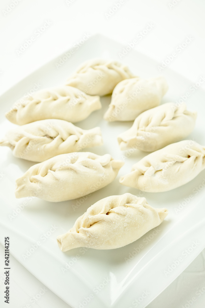 Asian meat dumplings on a white plate. Selective focus.