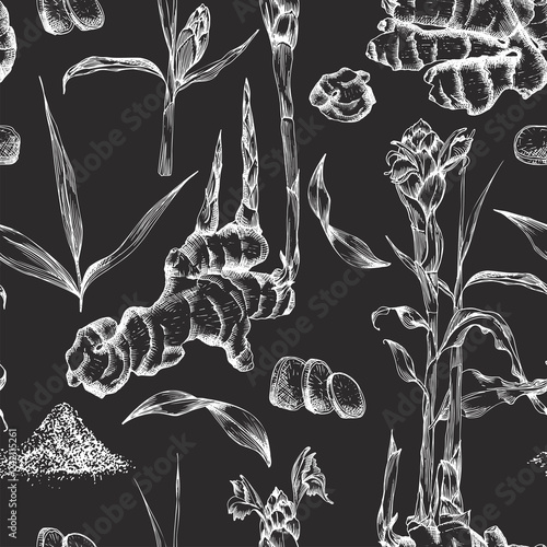 Seamless patternhand drawn of Ginger roots, lives and flowers in white chalk color isolated on black board background.. Retro vintage graphic design. botanical sketch drawing, engraving style photo