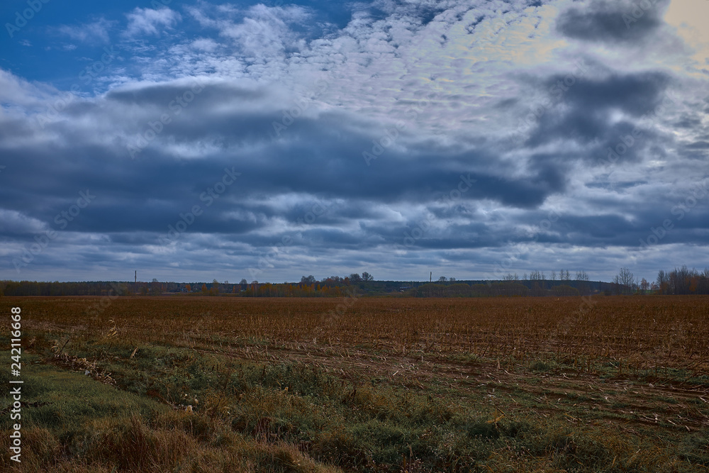 cloudy sky over brown field after harvesting