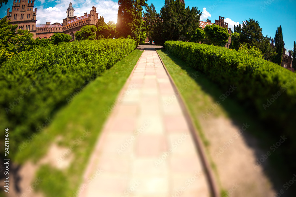 Fototapeta premium Alley near Chernivtsi National University.
