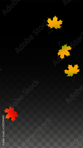 September Vector Background with Golden Falling Leaves. Autumn Illustration with Maple Red, Orange, Yellow Foliage. Isolated Leaf on Transparent Background. Bright Swirl. Suitable for Posters.