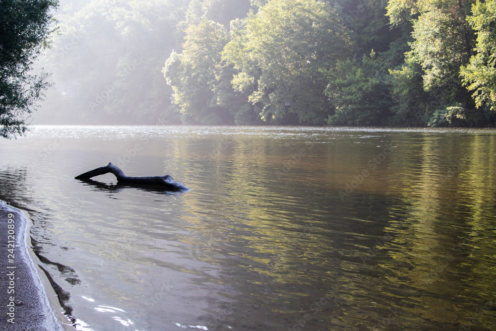 Fototapeta premium The calm waters of Sarlat early in the morning