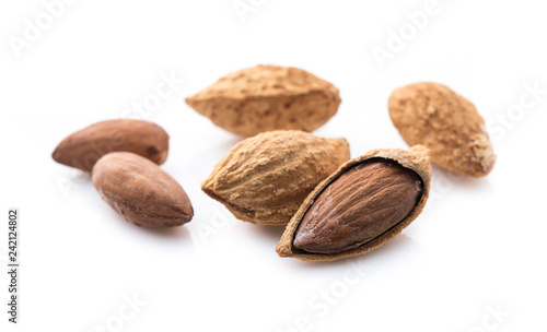 Almond isolated on white