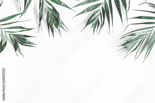 Green palm leaves on white background. Flat lay  top view  copy space