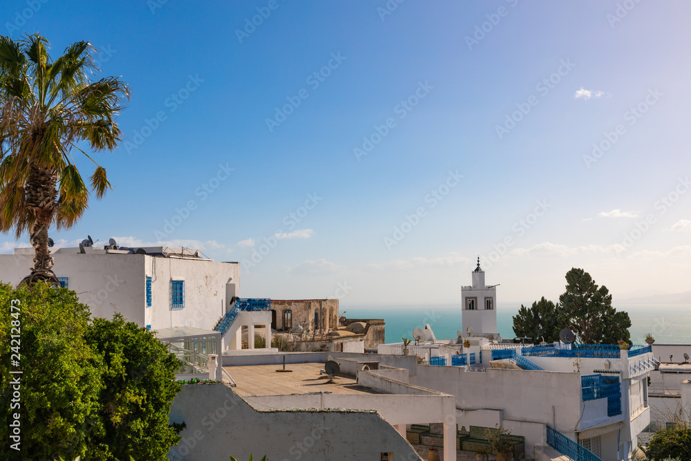 Panoramic view from resort town Sidi Bou Said. Tunisia, North Africa.