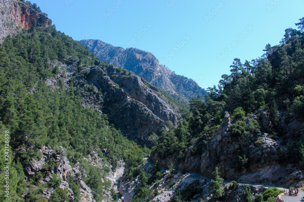 the road in the canyon of the mountain river in the forest nature landscape