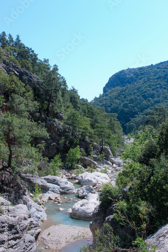 ourists go along the canyon of a mountain river in the forest.nature background