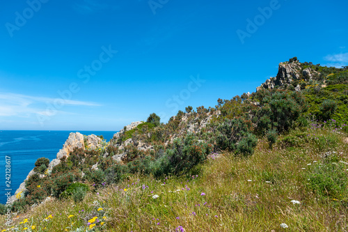 Landscape at the Cap Taillat