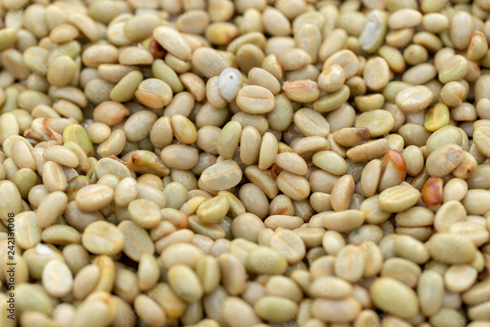 natural organic green coffee beans natural organic green coffee beans