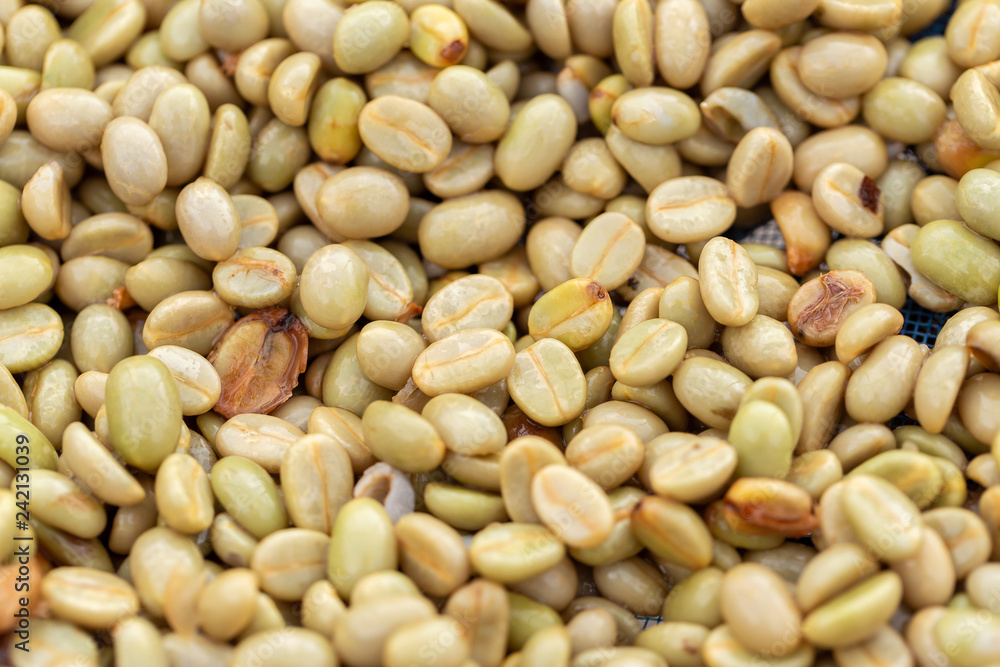 natural organic green coffee beans natural organic green coffee beans