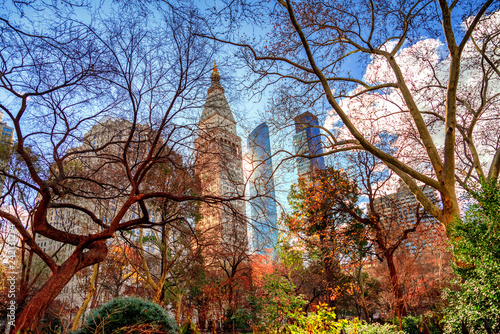 Cityscape of New York seen from across Madison Square Park , Manhattan, New York City. photo