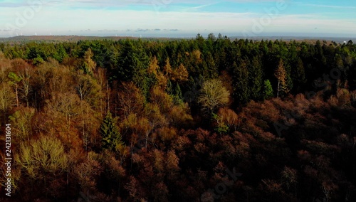 Schleswig Holstein Wald mit Drohne 