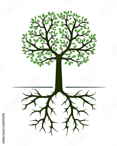 Green Spring Trees with Leaves. Vector Illustration.