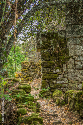 View of ruined stone house  with surrounding vegetation