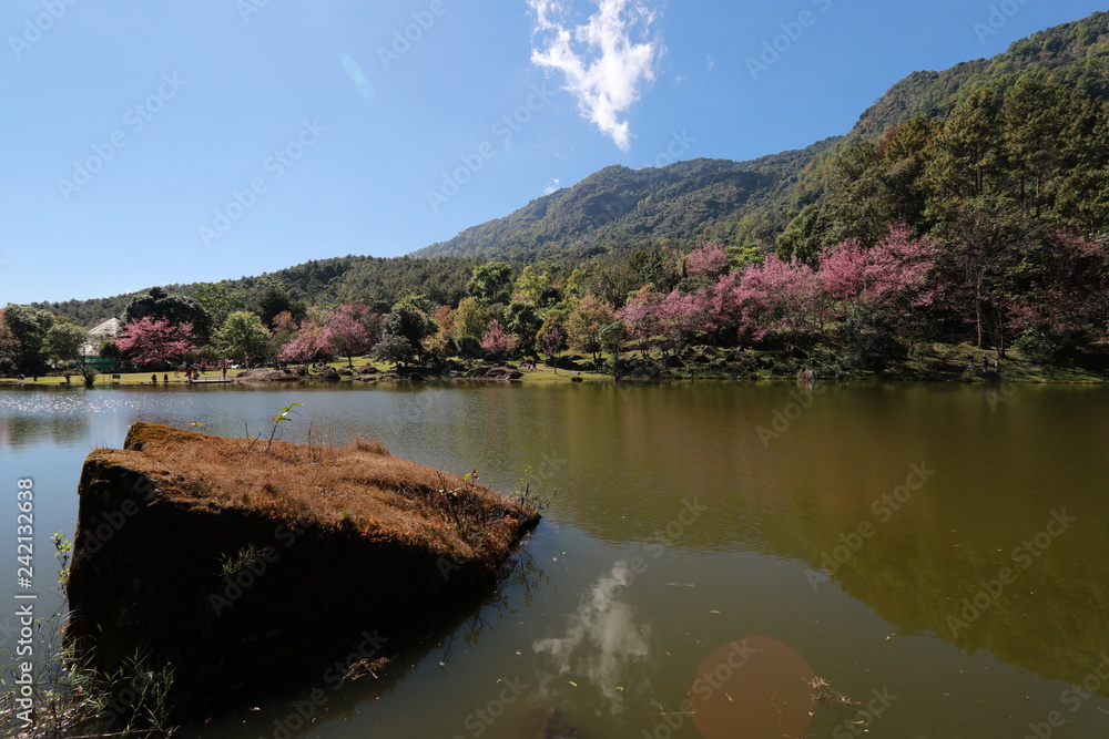 Fototapeta premium chiangmai