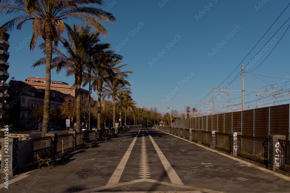 Palmenallee in Sizilien