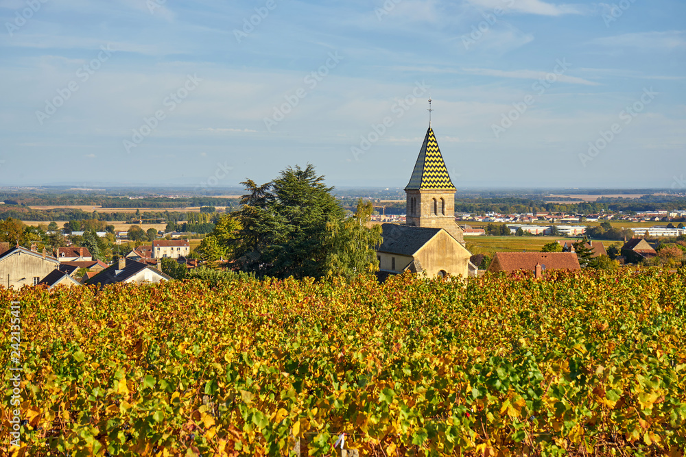 Burgundy Landscape Incorporating A Typical Church and Vineyard i