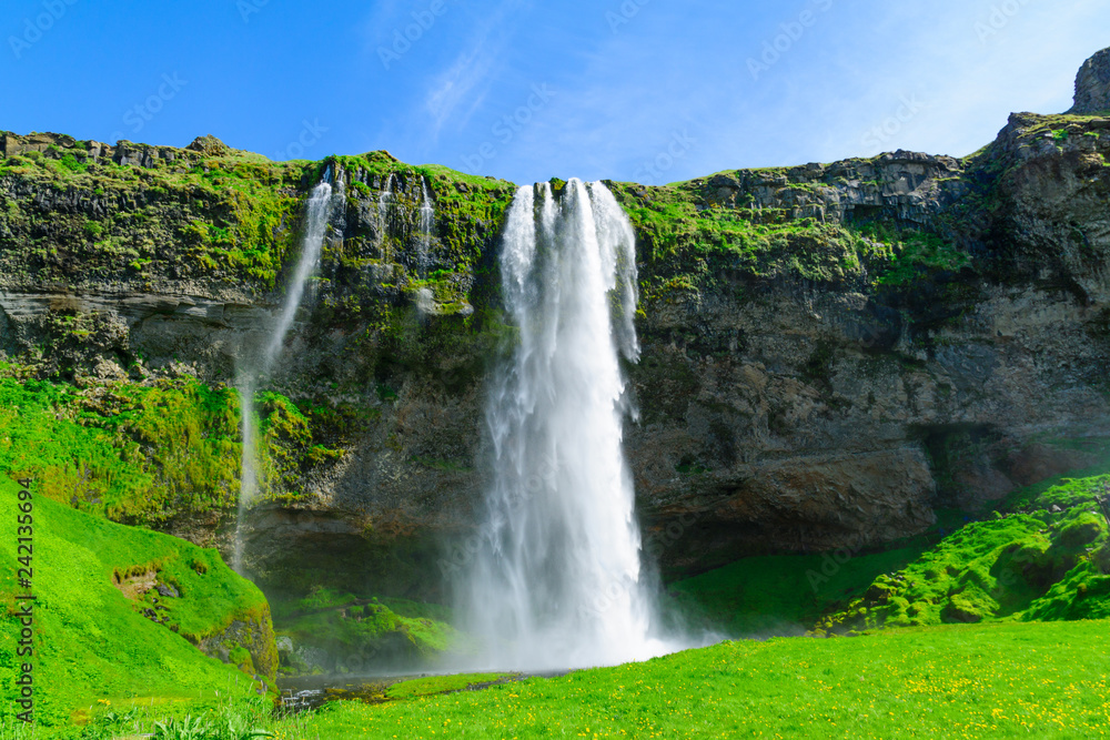 Fototapeta premium Seljalandsfoss waterfall, south Iceland