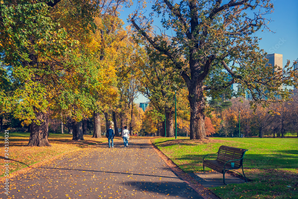 Two person walk on the way with street big trees in the park at autumn Two person walk on the way with street big trees in the park at autumn