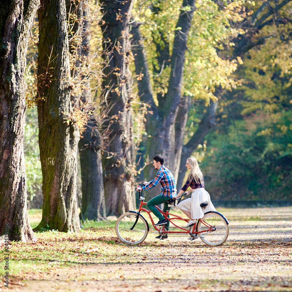 Naklejka premium Side view of young romantic couple, man and blond woman cycling tandem bicycle along park or forest alley with tall trees lit by bright sun and covered with golden leaves in autumn