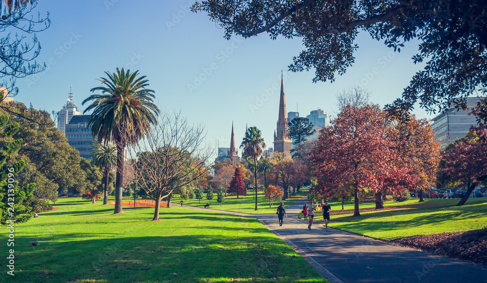 Fototapeta premium Long shot of St Patrick's Cathedral from Fitzroy Gardens