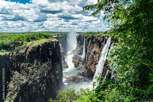 Waterfalls through the bushes