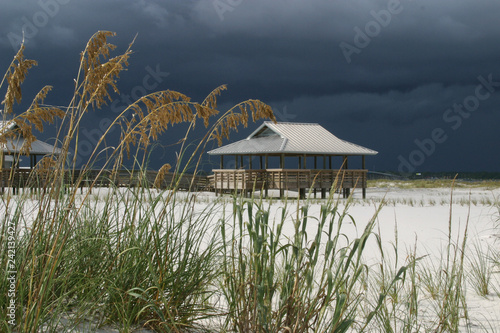 Beach-Sea Oats-Gathering Storm