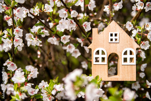 The symbol of the house in the branches with white flowers 