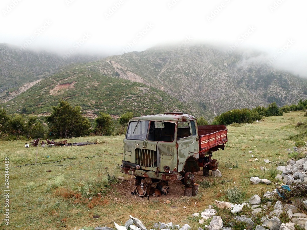 Fototapeta premium Abandoned truck and goats amid the mountains near Llogara, Albania