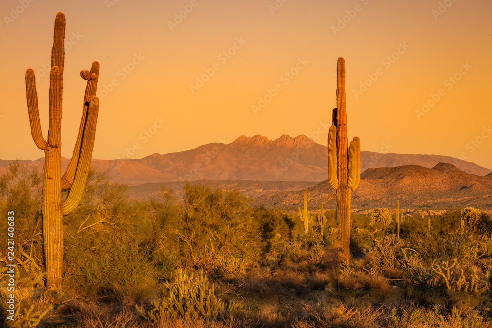 The Arizona desert mountains turn a deep reddish, orange and purple hue as the sun sets and the sky turns a soft peachy orange. Landscape photos of the desert at sunset shows a quiet and solitude The Arizona desert mountains turn a deep reddish, orange and purple hue as the sun sets and the sky turns a soft peachy orange. Landscape photos of the desert at sunset shows a quiet and solitude