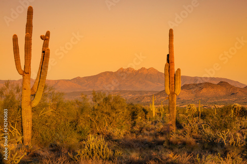 The Arizona desert mountains turn a deep reddish, orange and purple hue as the sun sets and the sky turns a soft peachy orange. Landscape photos of the desert at sunset shows a quiet and solitude 