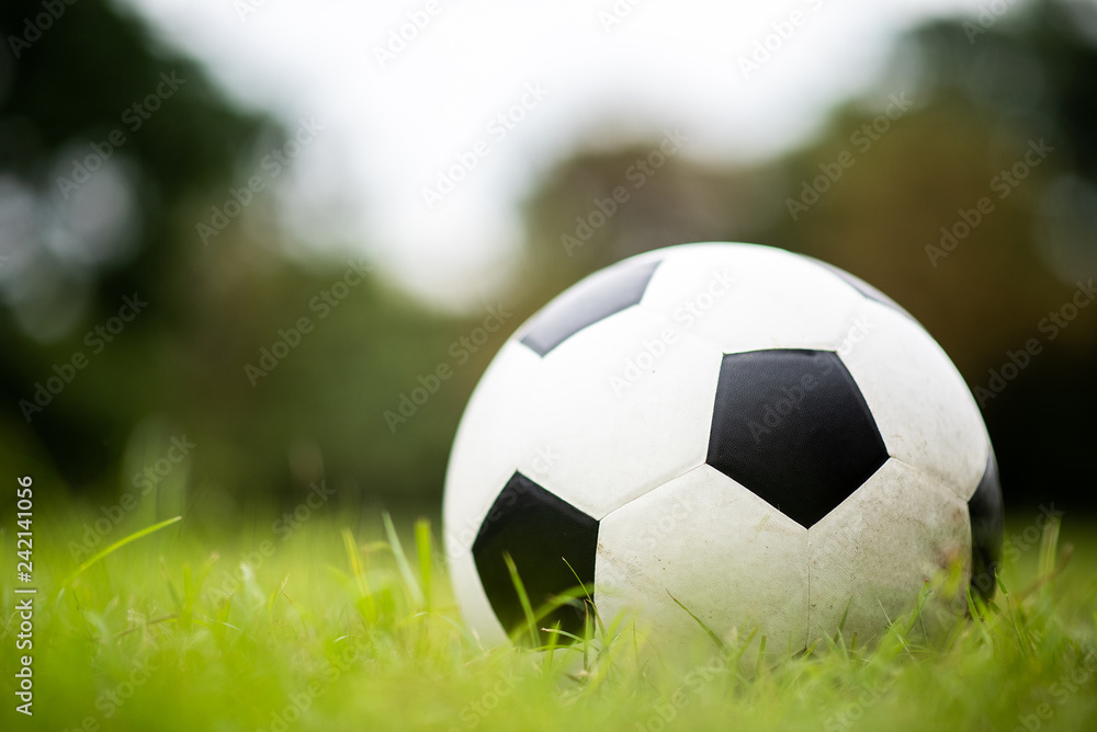 Fototapeta premium soccer football on green grass