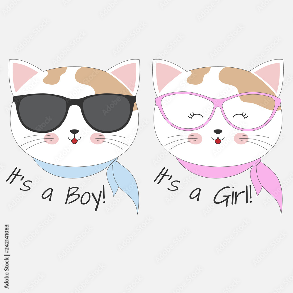 Fototapeta premium Lovely cats boy and girl in glasses isolated on white background.