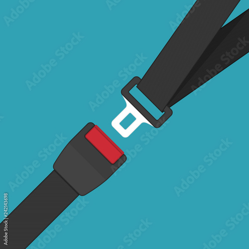 Vector safety belt.