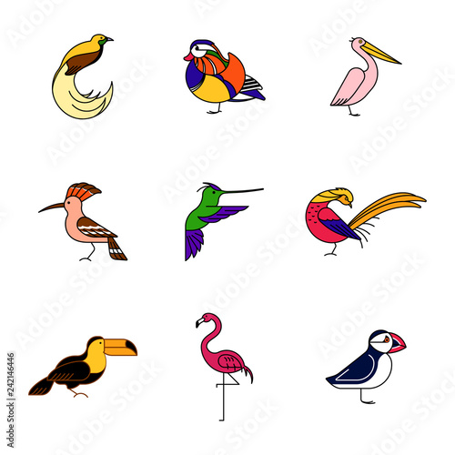 Birds are different species