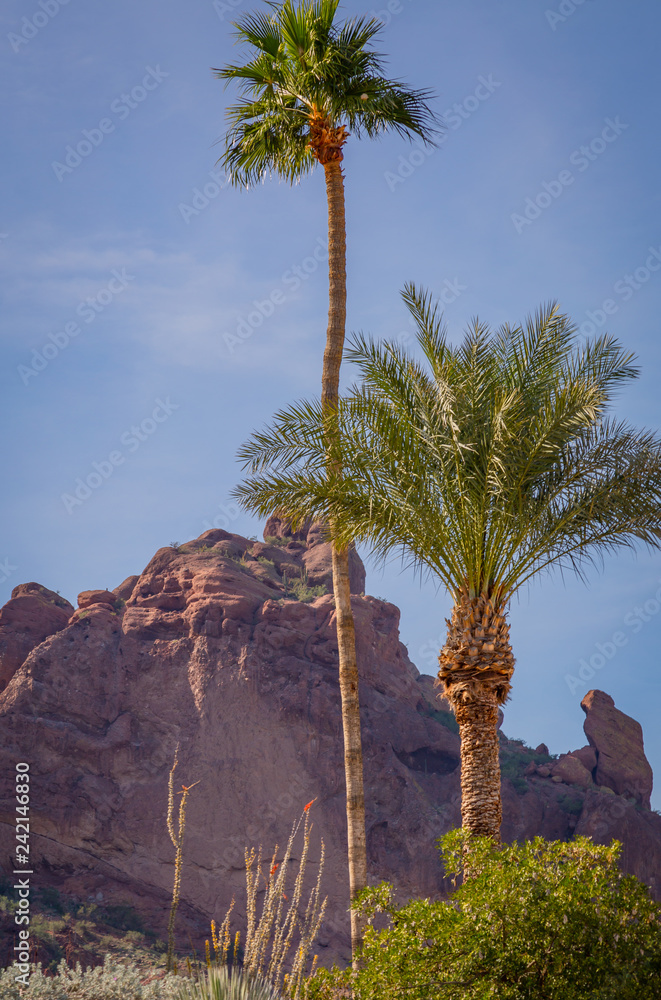 Fototapeta premium Landscape photos of the iconic 
