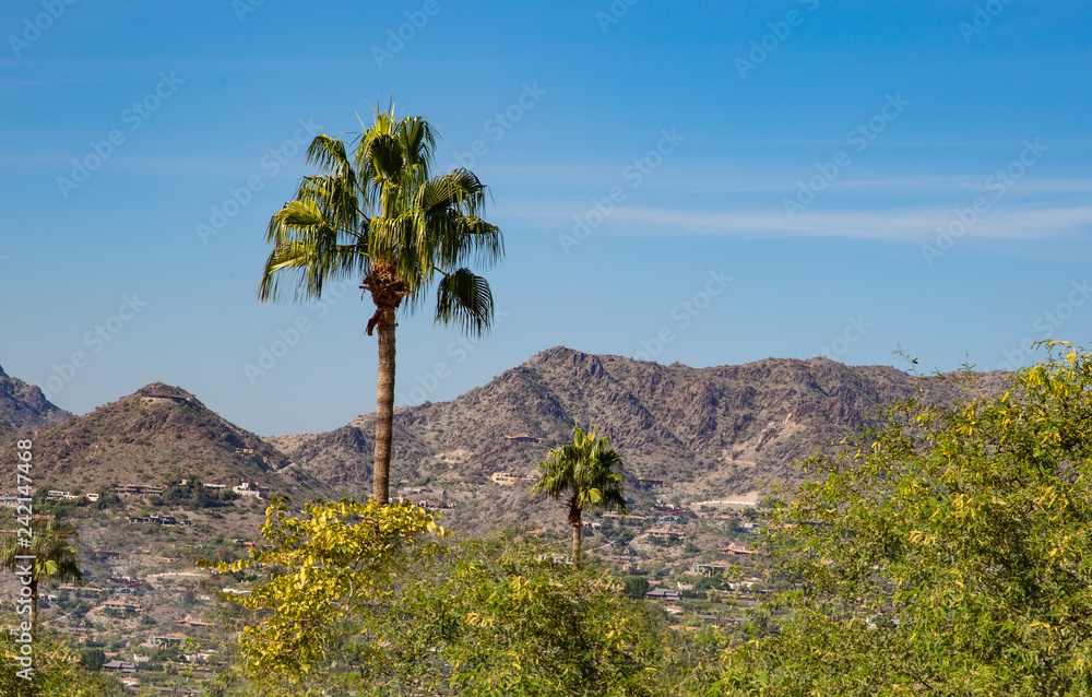 Neighborhoods at the base of tall mountains are rapidly growing in the Phoenix, Arizona area where population is steadily growing. Housing in these mountain base developments are usually more expensiv