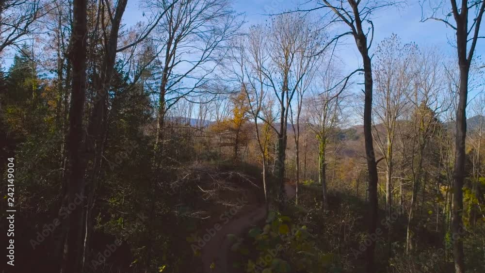 Aerial drone view flying through the trees above narrow road in autumn magic atmospheric forest wood Aerial drone view flying through the trees above narrow road in autumn magic atmospheric forest wood