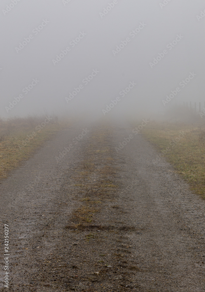 A seasonal dirt road in thick fog.